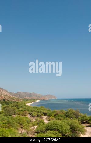 Litorale con la foresta di mangrovie in Hera Timor Est Foto Stock