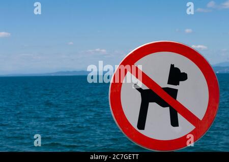 Cartello rosso e bianco per cani proibiti sulla spiaggia. Foto Stock