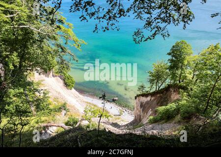 Acque turchesi del Mar Baltico e bianche scogliere incorniciate da alberi visti da Hochuferweg a Wissower Ufer, Jasmund National Park, Rügen, Germania. Foto Stock