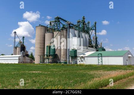 Elevatore di grano di Thompsons in Mitchell Ontario Canada conservazione e distribuzione dei prodotti agricoli Foto Stock