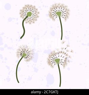 Set di quattro dente di leone con semi volanti. Immagine per biglietti d'auguri, tessuto, carta. Modello vettore. Illustrazione Vettoriale