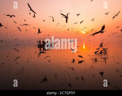 Splendida vista degli uccelli che volano verso il mare durante il tramonto dorato con gente silhouette su una canoa Foto Stock