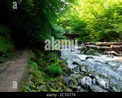 Sentiero lungo il fiume East Lyn tra Watersfeet e Lynmouth, Exmoor, Devon, UK Foto Stock