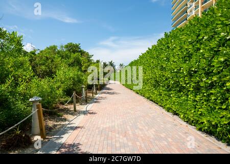 Miami Beach Atlantic Greenway percorso pedonale vuoto durante la pandemia di Coronavirus covid 19 Foto Stock