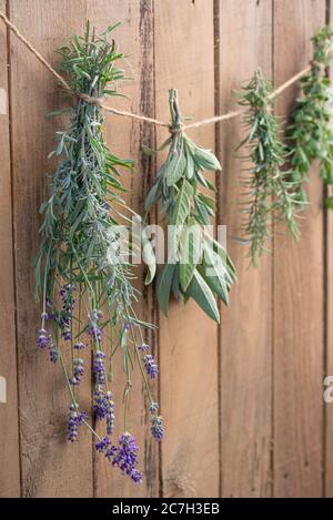 Erbe culinarie che asciugano di fronte ad un fondo di legno rsutico Foto Stock