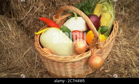 Concetto di bellezza e ricchezza della natura. Cestino accogliente pieno di verdure fresche - mais, cetrioli, peperone dolce, lattuga, zucca, cipolla che rimane sulla schiena fieno Foto Stock