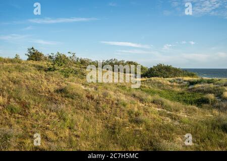 Collina coperta di verde con un mare sotto la luce del sole e. un cielo blu sullo sfondo Foto Stock