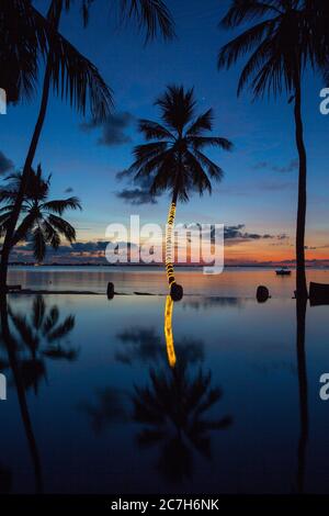 Spiaggia di palme, piscina, tramonto, Shangri-la Villingili Resort & Spa, Villingili, Maldive, Oceano Indiano Foto Stock