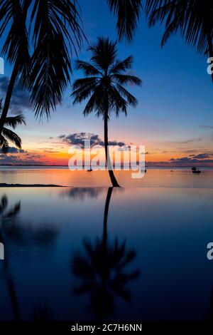 Spiaggia di palme, piscina, tramonto, Shangri-la Villingili Resort & Spa, Villingili, Maldive, Oceano Indiano Foto Stock