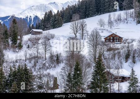 Europa, Austria, Vorarlberg, Montafon, Rätikon, Gauertal, case rustiche su un pendio innevato nella Gauertal Foto Stock