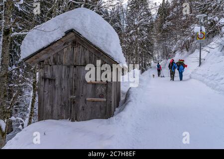 Europa, Austria, Vorarlberg, Montafon, Rätikon, Gauertal, escursionisti in un sentiero invernale nella Gauertal sulla strada per il Lindauer Hütte Foto Stock