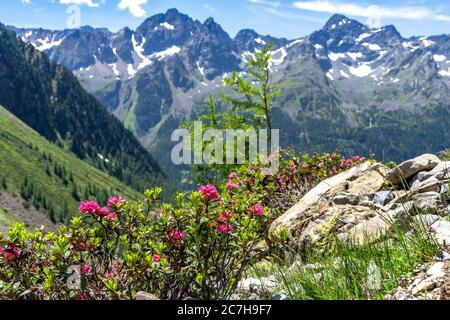 Europa, Austria, Tirolo, Alpi di Ötztal, Ötztal, Gries im Sulztal, vista del Sulztalkamm sulla salita al Winnebachsehütte Foto Stock