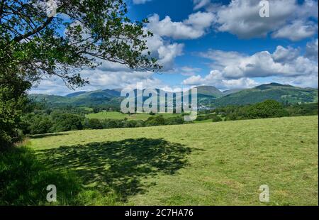 Campo appena falciato vicino a Wray che si affaccia sul Fairfield Horseshoe e Ambleside, vicino a Hawkshead, Lake District, Cumbria Foto Stock