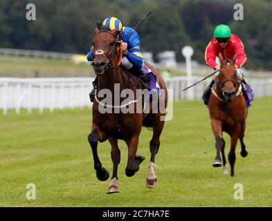 Stonific e Danny Tudhope hanno vinto il 134esimo anno del Watt Memorial handicap all'ippodromo di Beverley. Foto Stock