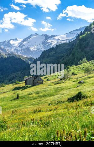 Europa, Austria, Tirolo, Alpi Ötztal, Ötztal, vista sui verdi prati montani della valle del Gurgler fino al Gurgler ferner alla fine della valle Foto Stock