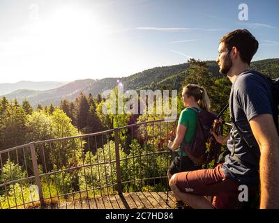 Escursioni a piedi sul Zweälersteig, Huberfelsen, Oberprechtal Foto Stock