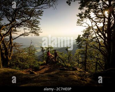 Escursioni sul Zweälersteig, sentiero escursionistico stretto al Thomashütte, Kandel Foto Stock