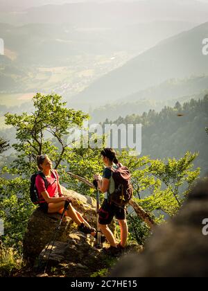 Escursioni sul Zweälersteig, sentiero escursionistico stretto al Thomashütte, Kandel Foto Stock