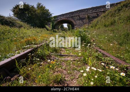 La ferrovia derelict Bristol a Portishead a Sheepway vicino Portishead, Somerset del Nord, Regno Unito. Foto Stock