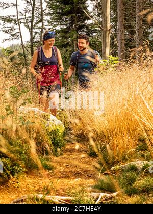 Escursioni sulla Zweälersteig, stretto sentiero a Schwedenschanze, Rohrhardsberg Foto Stock