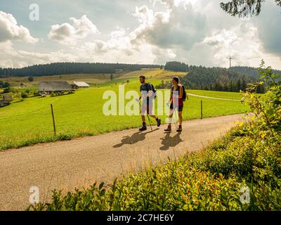 Escursioni sul Zweälersteig, Rohrhardsberg, Schänzlehof sullo sfondo Foto Stock