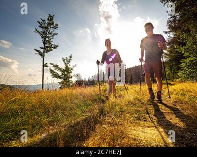 Escursioni sulla Zweälersteig, Magerweiden sulla Rohrhardsberg Foto Stock