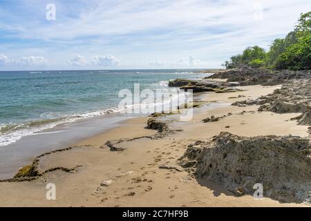 America, Caraibi, Greater Antilles, Repubblica Dominicana, Cabarete, spiaggia vicino al natura Cabana Boutique Hotel & Spa Foto Stock