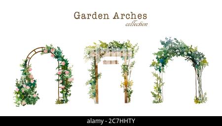 Set di archi da giardino color acqua con rose in fiore bianco e rosa. Illustrazione originale per ambiente di nozze e design paesaggistico Foto Stock