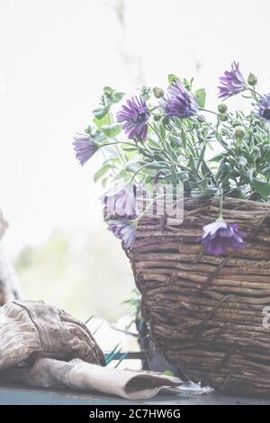 Pianta i cestini in pentole e cestini. Preparazione per la stagione del giardinaggio. Foto Stock