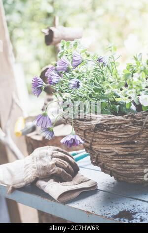 Pianta i cestini in pentole e cestini. Preparazione per la stagione del giardinaggio. Foto Stock