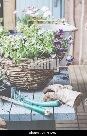 Pianta i cestini in pentole e cestini. Preparazione per la stagione del giardinaggio. Foto Stock