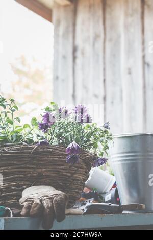 Pianta i cestini in pentole e cestini. Preparazione per la stagione del giardinaggio. Foto Stock