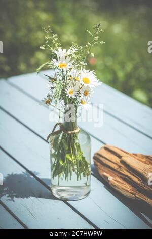 Primavera - il giardino fiorisce alla luce del sole. Margherite e coppette in un vaso nel giardino. Foto Stock