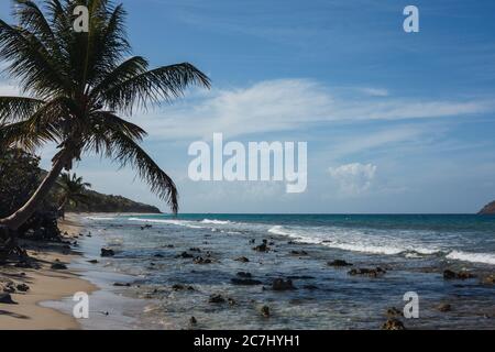 Un'ampia foto della spiaggia di Zoni a Culebra, Puerto Rico, con vista sul Mar dei Caraibi, bianche e palme Foto Stock