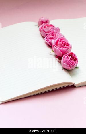 Apri il notebook, fiori sfondo rosa. Bock up. Modello cartolina. Posiziona per il testo Foto Stock