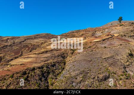 Agricoltura ad alta quota nel Parco Nazionale Tototoro, Parco Nazionale Torotoro, Andes Mountains, departimento Potosí, Bolivia, America Latina Foto Stock