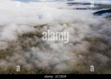 Nuvole di basso livello nella Jamison Valley vicino Katoomba nelle Blue Mountains in Australia Foto Stock