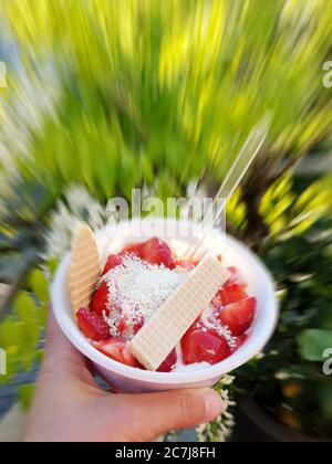 Spaghettieis in mano, Germania Foto Stock