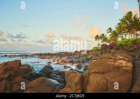 Laiakea Beach, Stati Uniti, Hawaii, Oahu, Haleiwa Foto Stock