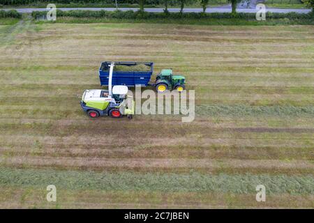 Drone aereo fotografia di raccolta di insilato con la mietitrebbiatrice semovente Classe Jaguar 970 nella contea rurale di Kildare, Irlanda Foto Stock