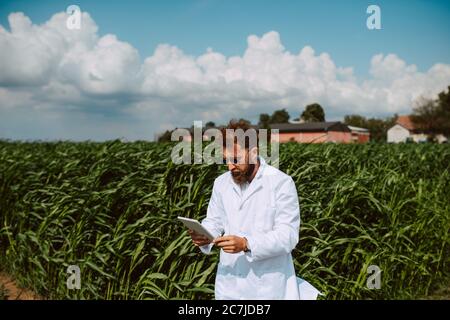 Agronomo tecnico caucasico maschile con computer tablet nel campo del mais controllo della qualità e la crescita delle colture per l'agricoltura. Comando campo mais Foto Stock