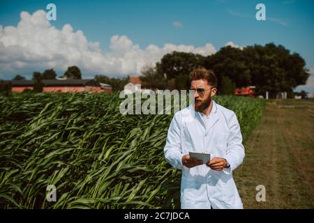 Agronomo tecnico caucasico maschile con computer tablet nel campo del mais controllo della qualità e la crescita delle colture per l'agricoltura. Comando campo mais Foto Stock