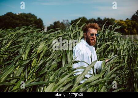 Agronomo tecnico caucasico maschile con computer tablet nel campo del mais controllo della qualità e la crescita delle colture per l'agricoltura. Comando campo mais Foto Stock