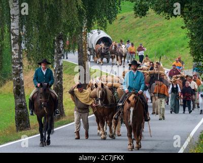 Säumerzug, festival del mulo di sale Grafenau, Foresta Bavarese, Baviera, Germania Foto Stock