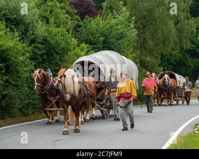 Säumerzug, festival del mulo di sale Grafenau, Foresta Bavarese, Baviera, Germania Foto Stock