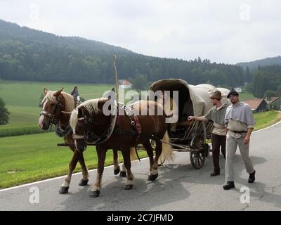Säumerzug, festival del mulo di sale Grafenau, Foresta Bavarese, Baviera, Germania Foto Stock