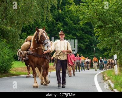 Säumerzug, festival del mulo di sale Grafenau, Foresta Bavarese, Baviera, Germania Foto Stock