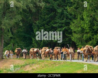 Säumerzug, festival del mulo di sale Grafenau, Foresta Bavarese, Baviera, Germania Foto Stock
