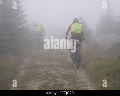 Goldsteig su Dreisesselberg nella nebbia, Foresta Bavarese, Baviera, Germania Foto Stock