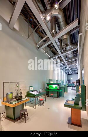 Phaeno, museo, centro scientifico, Zaha Hadid, interior design, Wolfsburg, bassa Sassonia, Germania, Europa Foto Stock